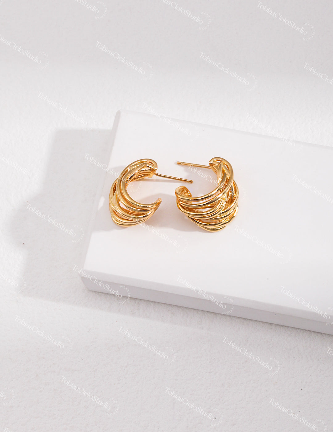 "Thoth’s Moebius" S925 Sterling Silver Earring with Fluid & Asymmetric Line Design