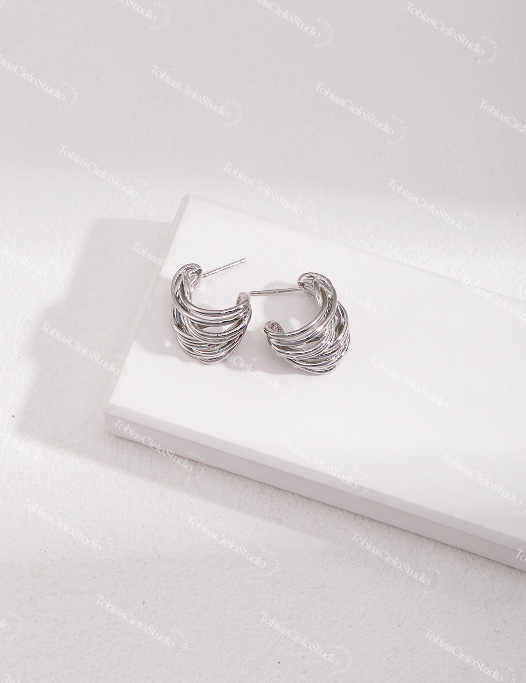 "Thoth’s Moebius" S925 Sterling Silver Earring with Fluid & Asymmetric Line Design